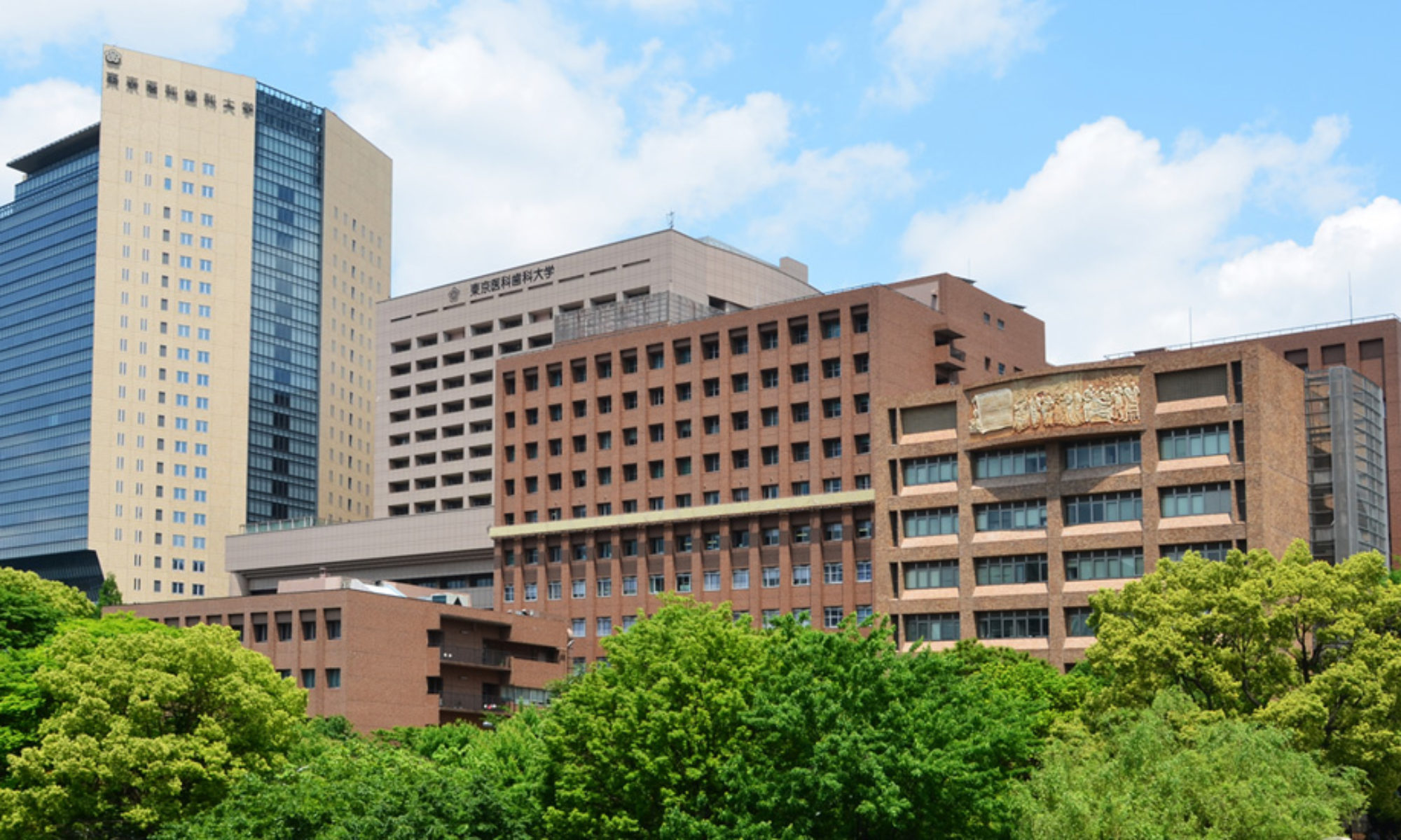 東京医科歯科大学　脳神経内科　ブログ